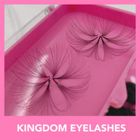 25D Handmade / Promade Lashes - 1000 Fans