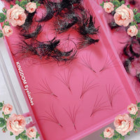 5D Handmade Lashes Mix Lengths - 10/11/12/13/14 - 1000 Fans