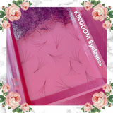 4D Handmade Lashes Mix Lengths - 8/9/10/11/12 - 1000 Fans