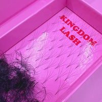 4D Handmade Lashes Mix Lengths - 8/9/10/11/12 - 1000 Fans