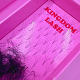 4D Handmade / Promade Lashes - 1000 Fans