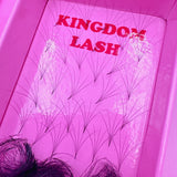 5D Handmade Lashes Mix Lengths - 11/12/13/14/15 - 1000 Fans