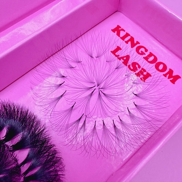10D Handmade Lashes Mix Lengths - 10/11/12/13/14 - 1000 Fans