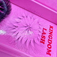 10D Handmade / Promade Lashes Single Length - 1000 Fans