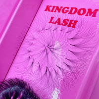 10D Handmade / Promade Lashes Single Length - 1000 Fans