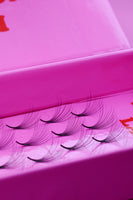 15D Camellia Handmade Lashes - 500 Fans