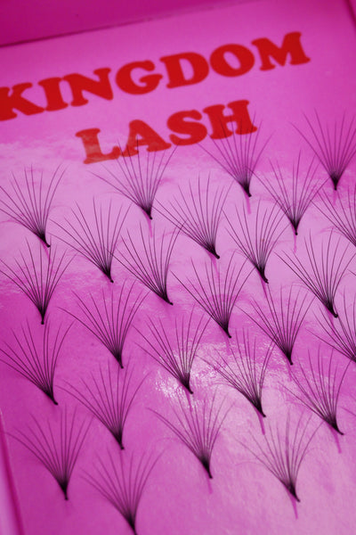 10D Camellia Handmade Lashes - 500 Fans