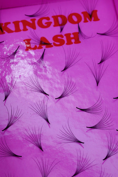 8D Camellia Handmade Lashes - 500 Fans