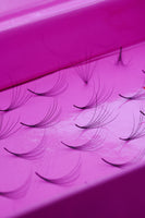 6D Camellia Handmade Lashes - 500 Fans