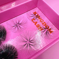 8D Camellia Handmade Lashes - 500 Fans