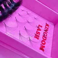 12D Handmade / Promade Lashes Single Length - 1000 Fans