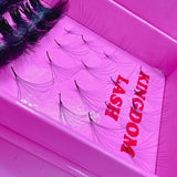 12D Handmade / Promade Lashes Single Length - 1000 Fans