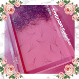 4D Handmade / Promade Lashes - 1000 Fans