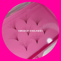 25D Handmade / Promade Lashes - 1000 Fans