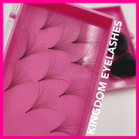 25D Handmade / Promade Lashes - 1000 Fans