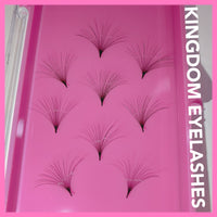 25D Handmade / Promade Lashes - 1000 Fans